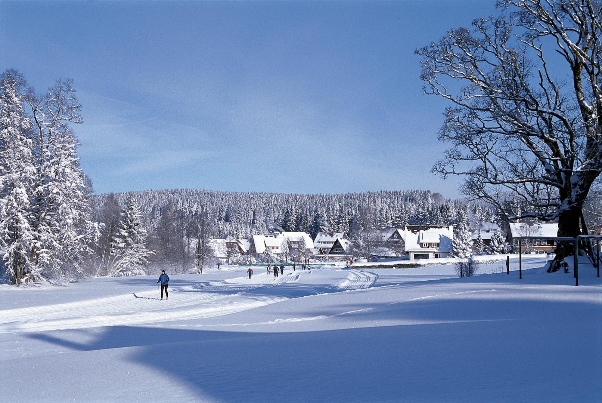 Drei Tannen - Wohnung 04 - Apartmenthaus, Titisee, Nahe Badeparadies 외부 사진