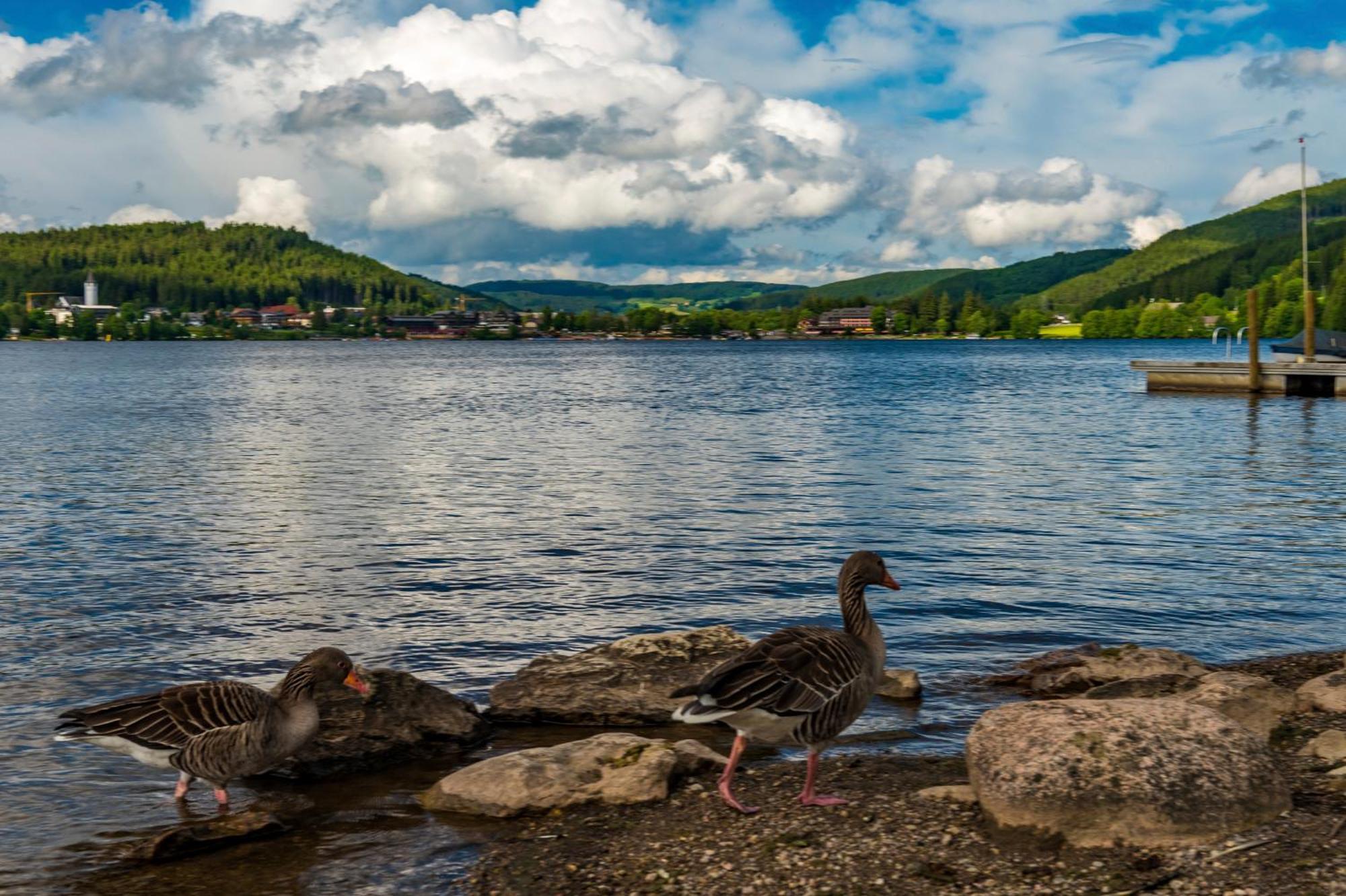 Drei Tannen - Wohnung 04 - Apartmenthaus, Titisee, Nahe Badeparadies 외부 사진
