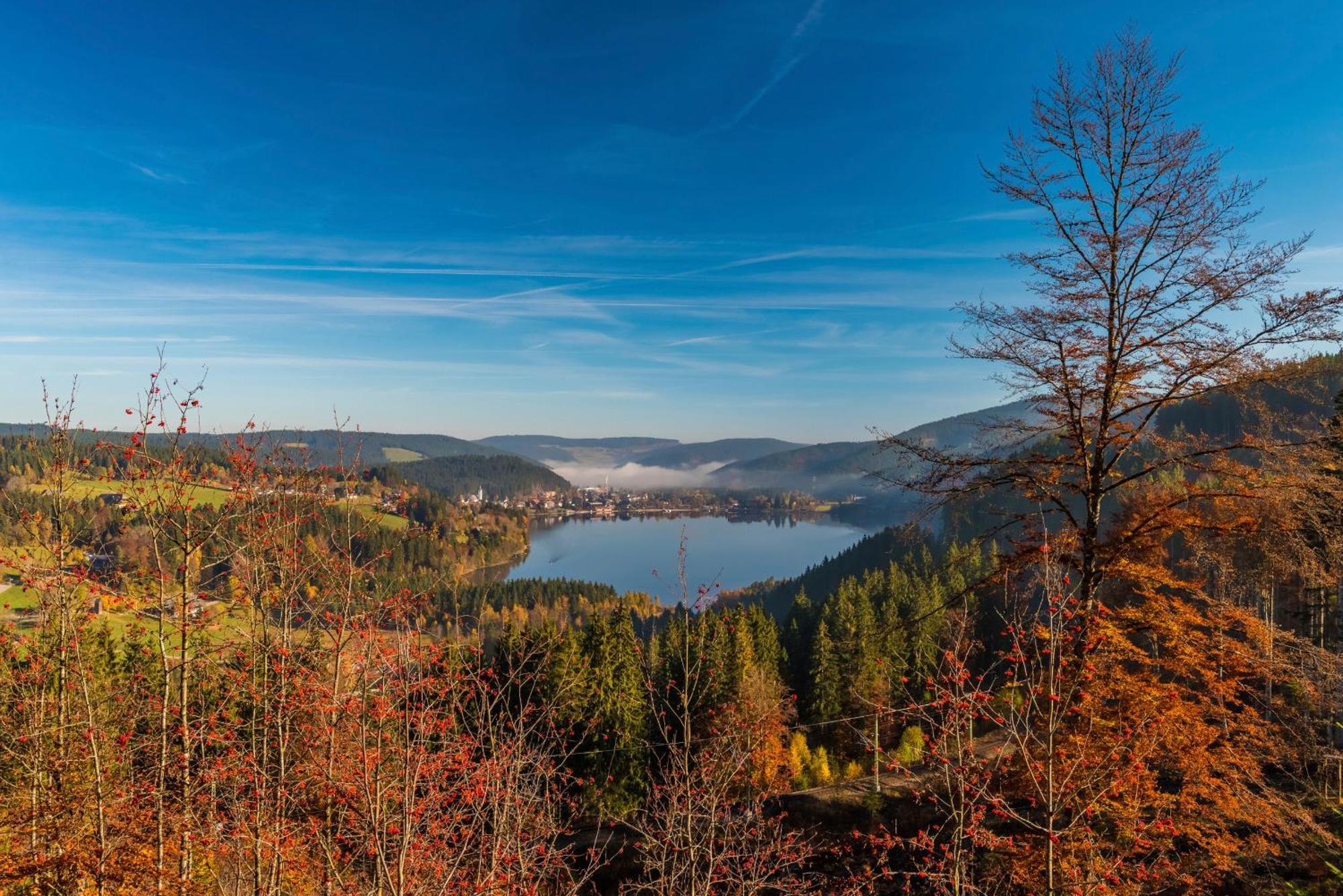 Drei Tannen - Wohnung 04 - Apartmenthaus, Titisee, Nahe Badeparadies 외부 사진